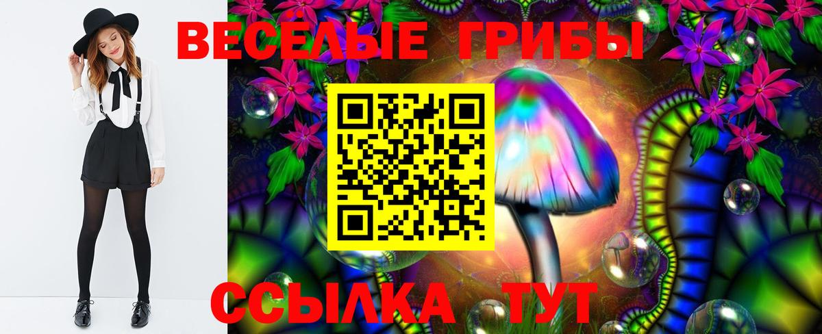 Галлюциногенные грибы мицелий Асино