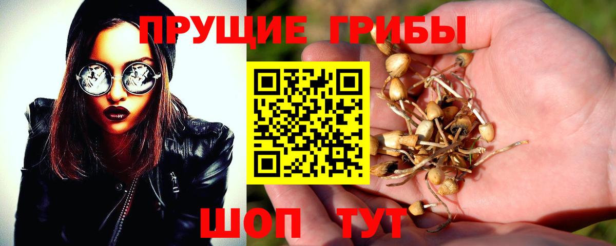 Псилоцибиновые грибы прущие грибы  Псилоцибиновые грибы ЛСД  Асино 