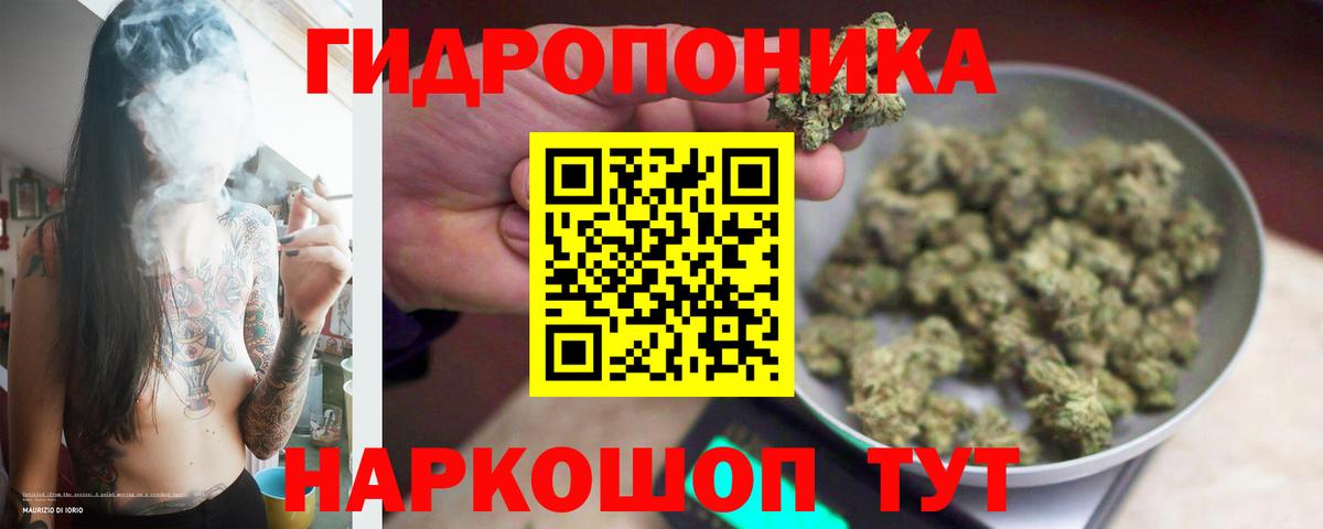 Канабис индика Асино