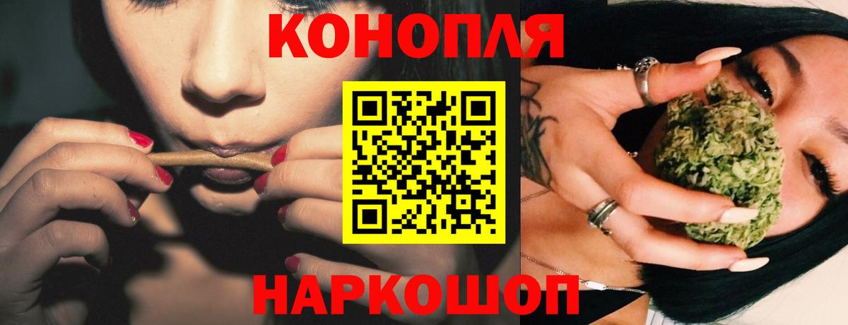 Бошки Шишки White Widow  Марихуана план  Марихуана сатива  Асино 